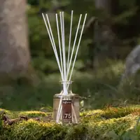 Alpine Diffusor - N°75 Mystic Forest