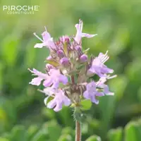 Aroma Hydro Bath - Draining