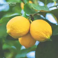Aroma Hydro Bath - Regenerating